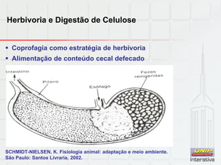 Herbivoria e Digestão de Celulose
 Coprofagia como estratégia de herbivoria
 Alimentação de conteúdo cecal defecado
SCHMIDT-NIELSEN, K. Fisiologia animal: adaptação e meio ambiente.
São Paulo: Santos Livraria, 2002.
 