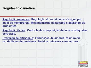 Regulação osmótica
Regulação osmótica: Regulação do movimento da água por
meio de membranas. Movimentando os solutos e alterando os
gradientes.
Regulação iônica: Controle da composição de íons nos líquidos
corporais.
Excreção de nitrogênio: Eliminação de amônia, resíduo do
catabolismo de proteínas. Tecidos coletores e excretores.
 