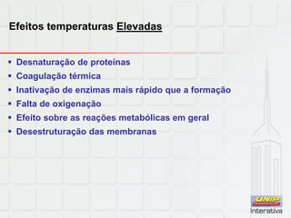 Efeitos temperaturas Elevadas
 Desnaturação de proteínas
 Coagulação térmica
 Inativação de enzimas mais rápido que a formação
 Falta de oxigenação
 Efeito sobre as reações metabólicas em geral
 Desestruturação das membranas
 