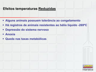 Efeitos temperaturas Reduzidas
 Alguns animais possuem tolerância ao congelamento
 Há registros de animais resistentes ao hélio líquido -269ºC
 Depressão do sistema nervoso
 Anoxia
 Queda nas taxas metabólicas
 