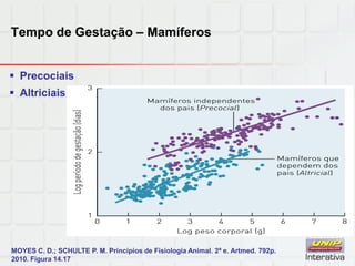 Tempo de Gestação – Mamíferos
 Precociais
 Altriciais
MOYES C. D.; SCHULTE P. M. Princípios de Fisiologia Animal. 2ª e. Artmed. 792p.
2010. Figura 14.17
 