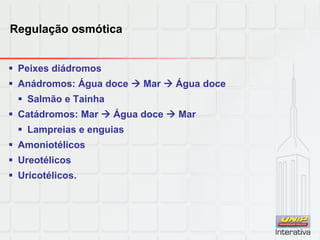 Regulação osmótica
 Peixes diádromos
 Anádromos: Água doce  Mar  Água doce
 Salmão e Tainha
 Catádromos: Mar  Água doce  Mar
 Lampreias e enguias
 Amoniotélicos
 Ureotélicos
 Uricotélicos.
 