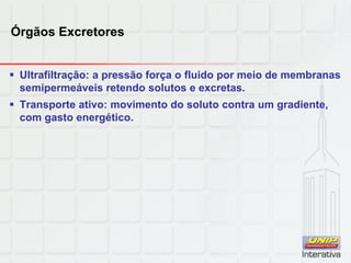Órgãos Excretores
 Ultrafiltração: a pressão força o fluido por meio de membranas
semipermeáveis retendo solutos e excretas.
 Transporte ativo: movimento do soluto contra um gradiente,
com gasto energético.
 