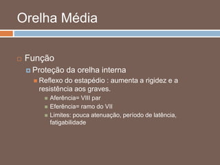Orelha Média
 Função
 Proteção da orelha interna
 Reflexo do estapédio : aumenta a rigidez e a
resistência aos graves.
 Aferência= VIII par
 Eferência= ramo do VII
 Limites: pouca atenuação, período de latência,
fatigabilidade
 