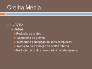 Orelha Média
 Função
 Outras:
 Redução de ruídos
 Atenuação de graves
 Melhorar a percepção de sons complexos
 Redução da excitação da orelha interna
 Redução de ruidos provocados por ela mesma.
 