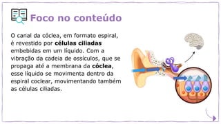 Foco no conteúdo
O canal da cóclea, em formato espiral,
é revestido por células ciliadas
embebidas em um líquido. Com a
vibração da cadeia de ossículos, que se
propaga até a membrana da cóclea,
esse líquido se movimenta dentro da
espiral coclear, movimentando também
as células ciliadas.
 