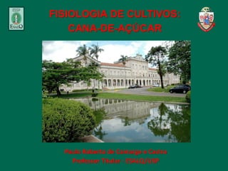 FISIOLOGIA DE CULTIVOS:
CANA-DE-AÇÚCAR
Paulo Roberto de Camargo e Castro
Professor Titular - ESALQ/USP
 
