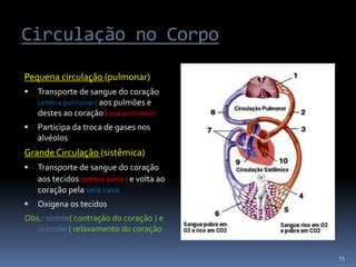 Circulação no Corpo
Pequena circulação (pulmonar)
 Transporte de sangue do coração
(artéria pulmonar) aos pulmões e
destes ao coração (veia pulmonar)
 Participa da troca de gases nos
alvéolos
Grande Circulação (sistêmica)
 Transporte de sangue do coração
aos tecidos (artéria aorta ) e volta ao
coração pela veia cava
 Oxigena os tecidos
Obs.: sístole( contração do coração ) e
diástole ( relaxamento do coração
11
 