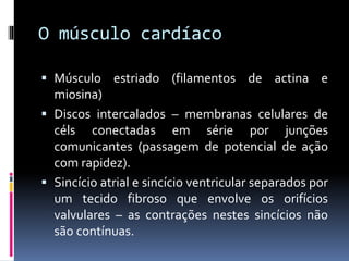 O músculo cardíaco
 Músculo estriado (filamentos de actina e
miosina)
 Discos intercalados – membranas celulares de
céls conectadas em série por junções
comunicantes (passagem de potencial de ação
com rapidez).
 Sincício atrial e sincício ventricular separados por
um tecido fibroso que envolve os orifícios
valvulares – as contrações nestes sincícios não
são contínuas.
 