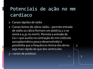 Potenciais de ação no mm
cardíaco
1 - Canais rápidos de sódio
2 - Canais lentos de cálcio-sódio – permite entrada
de sódio ou cálcio formam um platô (0,2 s no
mmA e 0,3s no mmV). Permite a entrada de
Ca++ que auxilia na contração do mm (retículo
sarcoplasmático pouco desenvolvido) e
possibilita que a frequência rítmica dos átrios
seja mais rápida do que dos ventriculos.
3 – canais de potássio
1
2
3
 