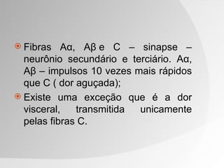  Fibras   Aα, Aβ e C – sinapse –
  neurônio secundário e terciário. Aα,
  Aβ – impulsos 10 vezes mais rápidos
  que C ( dor aguçada);
 Existe uma exceção que é a dor
  visceral,   transmitida unicamente
  pelas fibras C.
 