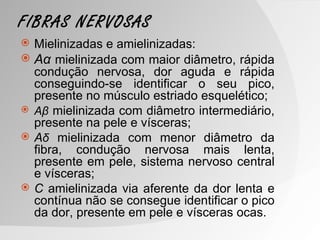FIBRAS NERVOSAS
 Mielinizadas e amielinizadas:
 Aα mielinizada com maior diâmetro, rápida
  condução nervosa, dor aguda e rápida
  conseguindo-se identificar o seu pico,
  presente no músculo estriado esquelético;
 Aβ mielinizada com diâmetro intermediário,
  presente na pele e vísceras;
 Aδ mielinizada com menor diâmetro da
  fibra, condução nervosa mais lenta,
  presente em pele, sistema nervoso central
  e vísceras;
 C amielinizada via aferente da dor lenta e
  contínua não se consegue identificar o pico
  da dor, presente em pele e vísceras ocas.
 