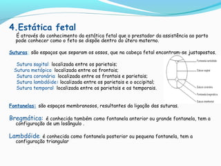 Atitude fetal: corresponde à relação dos diversos segmentos fetais
entre si.
a)Fletida: o feto dobra-se sobre si, direcion...
