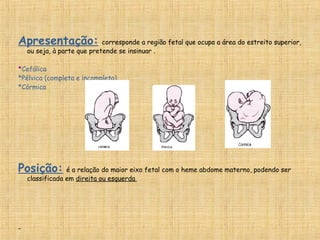 Apresentação: corresponde a região fetal que ocupa a área do estreito superior,
ou seja, à parte que pretende se insinuar .
*Cefálica
*Pélvica (completa e incompleta).
*Córmica
Posição: é a relação do maior eixo fetal com o heme abdome materno, podendo ser
classificada em direita ou esquerda
 
 
 
 