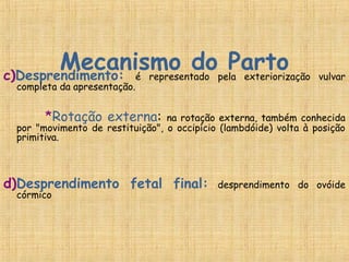 Mecanismo do Partoc)Desprendimento: é representado pela exteriorização vulvar
completa da apresentação.
*Rotação externa: na rotação externa, também conhecida
por "movimento de restituição", o occipício (lambdóide) volta à posição
primitiva.
d)Desprendimento fetal final: desprendimento do ovóide
córmico
 