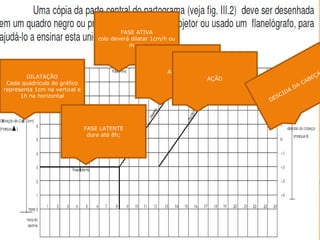 DILATAÇÃO
Cada quadrícula do gráfico
representa 1cm na vertical e
1h na horizontal
FASE ATIVA
colo deverá dilatar 1cm/h ou
mais;
ALERTA
AÇÃO
FASE LATENTE
dura até 8h;
DESCIDA
DA CABEÇA
 