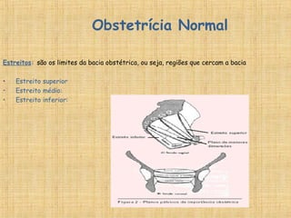 Obstetrícia Normal
Estreitos: são os limites da bacia obstétrica, ou seja, regiões que cercam a bacia
• Estreito superior
• Estreito médio:
• Estreito inferior:
 
 