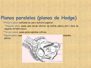 Planos paralelos (planos de Hodge)
*Primeiro plano: confunde-se com o estreito superior.
*Segundo plano: passa pela borda inferior da sínfise púbica até o meio da
segunda vértebra sacra.
*Terceiro plano: passa pelas espinhas ciáticas.
*Quarto plano: passa pela ponta do cóccix e se confunde com o assoalho
pélvico.
 