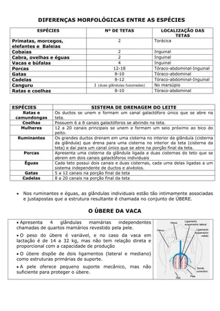 DIFERENÇAS MORFOLÓGICAS ENTRE AS ESPÉCIES
ESPÉCIES Nº DE TETAS LOCALIZAÇÃO DAS
TETAS
Primatas, morcegos,
elefantes e Baleias
2 Torácica
Cobaias 2 Inguinal
Cabra, ovelhas e éguas 2 Inguinal
Vacas e búfalas 4 Inguinal
Porcas 12-18 Tóraco-abdominal-Inguinal
Gatas 8-10 Tóraco-abdominal
Cadelas 8-12 Tóraco-abdominal-Inguinal
Canguru 1 (duas glândulas fusionadas) No marsúpio
Ratas e coelhas 8-10 Tóraco-abdominal
ESPÉCIES SISTEMA DE DRENAGEM DO LEITE
Ratas e
camundongas
Os ductos se unem e formam um canal galactóforo único que se abre na
teta.
Coelhas Possuem 6 a 8 canais galactóforos se abrindo na teta.
Mulheres 12 a 20 canais principais se unem e formam um seio próximo ao bico do
peito.
Ruminantes Os grandes ductos drenam em uma cisterna no interior da glândula (cisterna
da glândula) que drena para uma cisterna no interior da teta (cisterna da
teta) e daí para um canal único que se abre na porção final da teta.
Porcas Apresenta uma cisterna da glândula ligada a duas cisternas do teto que se
abrem em dois canais galactóforos individuais
Éguas Cada teto possui dois canais e duas cisternas, cada uma delas ligadas a um
sistema independente de ductos e alvéolos.
Gatas 5 a 12 canais na porção final da teta
Cadelas 8 a 20 canais na porção final da teta
• Nos ruminantes e éguas, as glândulas individuais estão tão intimamente associadas
e justapostas que a estrutura resultante é chamada no conjunto de ÚBERE.
O ÚBERE DA VACA
• Apresenta 4 glândulas mamárias independentes
chamadas de quartos mamários revestido pela pele.
• O peso do úbere é variável, e no caso da vaca em
lactação é de 14 a 32 kg, mas não tem relação direta e
proporcional com a capacidade de produção
• O úbere dispõe de dois ligamentos (lateral e mediano)
como estruturas primárias de suporte.
• A pele oferece pequeno suporte mecânico, mas não
suficiente para proteger o úbere.
 