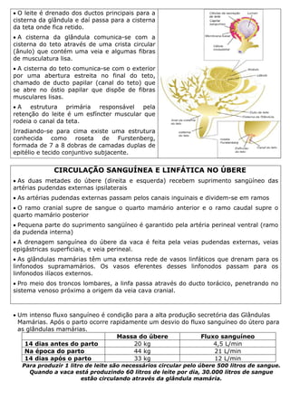 • O leite é drenado dos ductos principais para a
cisterna da glândula e daí passa para a cisterna
da teta onde fica retido.
• A cisterna da glândula comunica-se com a
cisterna do teto através de uma crista circular
(ânulo) que contém uma veia e algumas fibras
de musculatura lisa.
• A cisterna do teto comunica-se com o exterior
por uma abertura estreita no final do teto,
chamado de ducto papilar (canal do teto) que
se abre no óstio papilar que dispõe de fibras
musculares lisas.
• A estrutura primária responsável pela
retenção do leite é um esfíncter muscular que
rodeia o canal da teta.
Irradiando-se para cima existe uma estrutura
conhecida como roseta de Furstenberg,
formada de 7 a 8 dobras de camadas duplas de
epitélio e tecido conjuntivo subjacente.
CIRCULAÇÃO SANGUÍNEA E LINFÁTICA NO ÚBERE
• As duas metades do úbere (direita e esquerda) recebem suprimento sangüíneo das
artérias pudendas externas ipsilaterais
• As artérias pudendas externas passam pelos canais inguinais e dividem-se em ramos
• O ramo cranial supre de sangue o quarto mamário anterior e o ramo caudal supre o
quarto mamário posterior
• Pequena parte do suprimento sangüíneo é garantido pela artéria perineal ventral (ramo
da pudenda interna)
• A drenagem sanguínea do úbere da vaca é feita pela veias pudendas externas, veias
epigástricas superficiais, e veia perineal.
• As glândulas mamárias têm uma extensa rede de vasos linfáticos que drenam para os
linfonodos supramamários. Os vasos eferentes desses linfonodos passam para os
linfonodos ilíacos externos.
• Pro meio dos troncos lombares, a linfa passa através do ducto torácico, penetrando no
sistema venoso próximo a origem da veia cava cranial.
• Um intenso fluxo sanguíneo é condição para a alta produção secretória das Glândulas
Mamárias. Após o parto ocorre rapidamente um desvio do fluxo sanguíneo do útero para
as glândulas mamárias.
Massa do úbere Fluxo sanguíneo
14 dias antes do parto 20 kg 4,5 L/min
Na época do parto 44 kg 21 L/min
14 dias após o parto 33 kg 12 L/min
Para produzir 1 litro de leite são necessários circular pelo úbere 500 litros de sangue.
Quando a vaca está produzindo 60 litros de leite por dia, 30.000 litros de sangue
estão circulando através da glândula mamária.
 