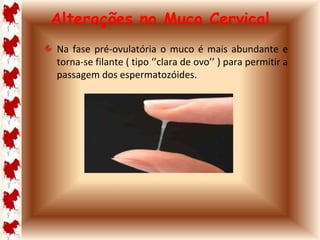 Alterações no Muco Cervical 
Na fase pré-ovulatória o muco é mais abundante e 
torna-se filante ( tipo ‘’clara de ovo’’ ) para permitir a 
passagem dos espermatozóides. 
 
