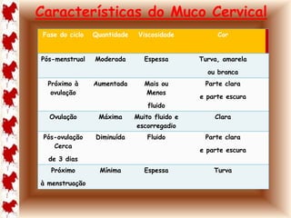 Características do Muco Cervical 
Fase do ciclo Quantidade Viscosidade Cor 
Pós-menstrual Moderada Espessa Turva, amarela 
ou branca 
Próximo à 
ovulação 
Aumentada Mais ou 
Menos 
fluido 
Parte clara 
e parte escura 
Ovulação Máxima Muito fluido e 
escorregadio 
Clara 
Pós-ovulação 
Cerca 
de 3 dias 
Diminuída Fluido Parte clara 
e parte escura 
Próximo 
à menstruação 
Mínima Espessa Turva 
 
