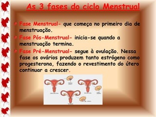 As 3 fases do ciclo Menstrual 
Fase Menstrual- que começa no primeiro dia de 
menstruação. 
Fase Pós-Menstrual- inicia-se quando a 
menstruação termina. 
Fase Pré-Menstrual- segue à ovulação. Nessa 
fase os ovários produzem tanto estrógeno como 
progesterona, fazendo o revestimento do útero 
continuar a crescer. 
 
