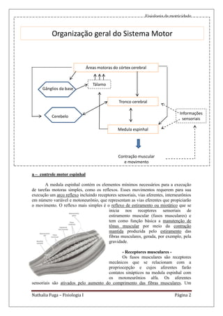 Fisiologia da motricidade



           Organização geral do Sistema Motor



                               Áreas motoras do córtex cerebral


                                  Tálamo
     Gânglios da base

                                                Tronco cerebral

                                                                                 Informações
           Cerebelo
                                                                                  sensoriais

                                               Medula espinhal




                                                Contração muscular
                                                   e movimento

a – controle motor espinhal

       A medula espinhal contém os elementos mínimos necessários para a execução
de tarefas motoras simples, como os reflexos. Esses movimentos requerem para sua
execução um arco reflexo incluindo receptores sensoriais, vias aferentes, interneurônios
em número variável e motoneurônio, que representam as vias eferentes que propiciarão
o movimento. O reflexo mais simples é o reflexo de estiramento ou miotático que se
                                         inicia nos receptores sensoriais de
                                         estiramento muscular (fusos musculares) e
                                         tem como função básica a manutenção de
                                         tônus muscular por meio da contração
                                         mantida produzida pelo estiramento das
                                         fibras musculares, gerada, por exemplo, pela
                                         gravidade.

                                             - Receptores musculares -
                                             Os fusos musculares são receptores
                                      mecânicos que se relacionam com a
                                      propriocepção e cujos aferentes farão
                                      contatos sinápticos na medula espinhal com
                                      os motoneurônios alfa. Os aferentes
sensoriais são ativados pelo aumento do comprimento das fibras musculares. Um

Nathalia Fuga – Fisiologia I                                                  Página 2
 