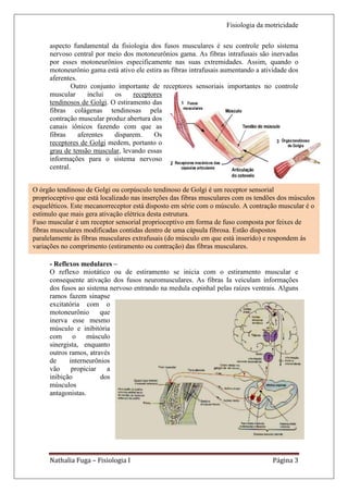 Fisiologia da motricidade

     aspecto fundamental da fisiologia dos fusos musculares é seu controle pelo sistema
     nervoso central por meio dos motoneurônios gama. As fibras intrafusais são inervadas
     por esses motoneurônios especificamente nas suas extremidades. Assim, quando o
     motoneurônio gama está ativo ele estira as fibras intrafusais aumentando a atividade dos
     aferentes.
             Outro conjunto importante de receptores sensoriais importantes no controle
     muscular      inclui  os     receptores
     tendinosos de Golgi. O estiramento das
     fibras colágenas tendinosas pela
     contração muscular produz abertura dos
     canais iônicos fazendo com que as
     fibras     aferentes  disparem.     Os
     receptores de Golgi medem, portanto o
     grau de tensão muscular, levando essas
     informações para o sistema nervoso
     central.


O órgão tendinoso de Golgi ou corpúsculo tendinoso de Golgi é um receptor sensorial
proprioceptivo que está localizado nas inserções das fibras musculares com os tendões dos músculos
esqueléticos. Este mecanorreceptor está disposto em série com o músculo. A contração muscular é o
estímulo que mais gera ativação elétrica desta estrutura.
Fuso muscular é um receptor sensorial proprioceptivo em forma de fuso composta por feixes de
fibras musculares modificadas contidas dentro de uma cápsula fibrosa. Estão dispostos
paralelamente às fibras musculares extrafusais (do músculo em que está inserido) e respondem às
variações no comprimento (estiramento ou contração) das fibras musculares.

     - Reflexos medulares –
     O reflexo miotático ou de estiramento se inicia com o estiramento muscular e
     consequente ativação dos fusos neuromusculares. As fibras Ia veiculam informações
     dos fusos ao sistema nervoso entrando na medula espinhal pelas raízes ventrais. Alguns
     ramos fazem sinapse
     excitatória com o
     motoneurônio      que
     inerva esse mesmo
     músculo e inibitória
     com o músculo
     sinergista, enquanto
     outros ramos, através
     de     interneurônios
     vão     propiciar   a
     inibição          dos
     músculos
     antagonistas.




     Nathalia Fuga – Fisiologia I                                                  Página 3
 