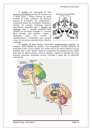 Fisiologia da motricidade

        O cerebelo está encarregado de fazer
ajustes nos movimentos por meio de conexões com
o córtex motor e núcleos motores do tronco
cerebral. As lesões cerebelares não produzem
bloqueio de movimentos, mas comprometem a
execução da maioria dos movimentos voluntários e
rítmicos. Os circuitos cerebelares parecem
especialmente adequados para a detecção das
diferenças entre a atividade produzida pelos
geradores de movimento (intenção) e o resultado
dessa atividade entre músculos, tendões e
articulações    (ação).    Esse     circuito   de
retroalimentação é fundamental para execução
correta do movimento, ajustando força, direção e
velocidade.
        Os gânglios da base integram informações sensório-motoras corticais, via
múltiplos canais atuando em paralelo. Seus componentes recebem aferências de
praticamente todo o córtex cerebral, mas somente através de núcleos talâmicos enviam
projeções para o córtex frontal. Lesões em componentes dos gânglios da base podem
gerar além de déficits motores, sensíveis alterações cognitivas, sugerindo que essas
estruturas processam informações motoras vinculadas à algum tipo de significado
motivacional.




Nathalia Fuga – Fisiologia I                                               Página 5
 