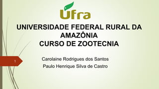 Carolaine Rodrigues dos Santos
Paulo Henrique Silva de Castro
1
UNIVERSIDADE FEDERAL RURAL DA
AMAZÔNIA
CURSO DE ZOOTECNIA
 