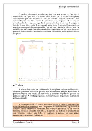 Fisiologia da sensibilidade



       É grande a diversidade morfológica e funcional dos receptores. Cada tipo é
especializado em captar uma determinada forma de energia. Diz-se que os receptores
são específicos para uma determinada forma de estímulo e que sua sensibilidade está
sintonizada para uma faixa restrita de estimulação e de resposta. O conceito de
especificidade dos receptores depende da sua sensibilidade a um tipo de energia, e
também de uma faixa restrita de apresentação dessa forma de energia. Esse conceito se
estende a cada um dos sistemas sensoriais, visto que cada receptor dá origem a uma via
específica até o córtex cerebral, chamadas linhas sensoriais exclusivas, encarregadas de
processar exclusivamente a informação selecionada do ambiente pela especificidade dos
receptores.




c - Tradução

       A transdução consiste na transformação da energia do estímulo ambiente (luz,
calor) em potenciais bioelétricos gerados pela membrana do receptor. Geralmente o
primeiro potencial que resulta da transdução é chamado de potencial gerador ou
potencial receptor. A codificação consiste na transformação do potencial receptor em
potenciais de ação.


        A função primordial do sistema sensorial é realizar a tradução da informação
contida nos estímulos ambientais para a linguagem do sistema nervoso e possibilitar a
utilização dessas informações codificadas nas operações perceptuais ou de controle
funcional necessária em cada momento, O mecanismo de tradução é semelhante em
seus princípios básicos para todos os receptores e consiste em duas etapas
fundamentais: transdução e codificação.


Nathalia Fuga – Fisiologia I                                                  Página 3
 