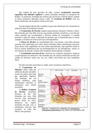 Fisiologia da sensibilidade

      Nas regiões da pele providas de pêlo, existem terminações nervosas
 específicas nos folículos capilares e outras chamadas terminais ou receptores de
 Ruffini. As primeiras, formadas por axônios que envolvem o folículo piloso, captam
 as forças mecânicas aplicadas contra o pêlo. Os terminais de Ruffini, com sua
 forma ramificada, são receptores térmicos de calor.

       Na pele desprovida de pêlo e também na que está coberta por ele, encontram-se
 ainda três tipos de receptores comuns:
       1) Corpúsculos de Paccini: captam especialmente estímulos vibráteis e táteis.
 São formados por uma fibra nervosa cuja porção terminal, amielínica, é envolta por
 várias camadas que correspondem a diversas células de sustentação. A camada
 terminal é capaz de captar a aplicação de pressão, que é transmitida para as outras
 camadas e enviada aos centros nervosos correspondentes.
       2) Discos de Merkel: de sensibilidade tátil e de pressão. Uma fibra aferente
 costuma estar ramificada com vários discos terminais destas ramificações nervosas.
 Estes discos estão englobados em uma célula especializada, cuja superfície distal se
 fixa às células epidérmicas por um prolongamento de seu protoplasma. Assim, os
 movimentos de pressão e tração sobre epiderme desencadeiam o estímulo.
       3) Terminações nervosas livres: sensíveis aos estímulos mecânicos, térmicos
 e especialmente aos dolorosos. São formadas por um axônio ramificado envolto por
 células de Schwann sendo, por sua vez, ambos envolvidos por uma membrana
 basal.

       Na pele sem pêlo encontram-se, ainda, outros receptores específicos:
       4) Corpúsculos de
 Meissner: táteis. Estão nas
 saliências da pele sem pêlos
 (como nas partes mais altas
 das impressões digitais).
 São formados por um
 axônio mielínico, cujas
 ramificações terminais se
 entrelaçam com células
 acessórias.
       5) Bulbos terminais
 de Krause: receptores
 térmicos de frio. São
 formados por uma fibra
 nervosa cuja terminação
 possui forma de clava.
 Situam-se nas         regiões
 limítrofes da pele com as
 membranas mucosas (por
 exemplo: ao redor dos
 lábios e dos genitais).




Nathalia Fuga – Fisiologia I                                                  Página 6
 