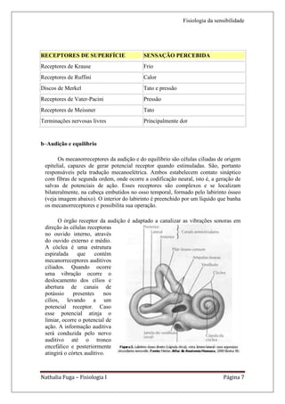 Fisiologia da sensibilidade




RECEPTORES DE SUPERFÍCIE                   SENSAÇÃO PERCEBIDA
Receptores de Krause                       Frio
Receptores de Ruffini                      Calor
Discos de Merkel                           Tato e pressão
Receptores de Vater-Pacini                 Pressão
Receptores de Meissner                     Tato
Terminações nervosas livres                Principalmente dor


b–Audição e equilíbrio

       Os mecanorreceptores da audição e do equilíbrio são células ciliadas de origem
 epitelial, capazes de gerar potencial receptor quando estimuladas. São, portanto
 responsáveis pela tradução mecanoelétrica. Ambos estabelecem contato sináptico
 com fibras de segunda ordem, onde ocorre a codificação neural, isto é, a geração de
 salvas de potenciais de ação. Esses receptores são complexos e se localizam
 bilateralmente, na cabeça embutidos no osso temporal, formado pelo labirinto ósseo
 (veja imagem abaixo). O interior do labirinto é preenchido por um líquido que banha
 os mecanorreceptores e possibilita sua operação.

       O órgão receptor da audição é adaptado a canalizar as vibrações sonoras em
 direção às células receptoras
 no ouvido interno, através
 do ouvido externo e médio.
 A cóclea é uma estrutura
 espiralada     que     contém
 mecanorreceptores auditivos
 ciliados. Quando ocorre
 uma vibração ocorre o
 deslocamento dos cílios e
 abertura de canais de
 potássio     presentes    nos
 cílios, levando a um
 potencial receptor. Caso
 esse potencial atinja o
 limiar, ocorre o potencial de
 ação. A informação auditiva
 será conduzida pelo nervo
 auditivo até o tronco
 encefálico e posteriormente
 atingirá o córtex auditivo.



Nathalia Fuga – Fisiologia I                                                 Página 7
 