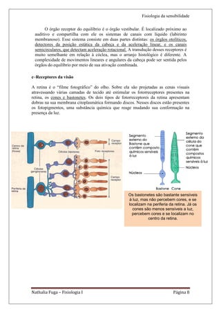 Fisiologia da sensibilidade

       O órgão receptor do equilíbrio é o órgão vestibular. É localizado próximo ao
 auditivo e compartilha com ele os sistemas de canais com líquido (labirinto
 membranoso). Esse sistema consiste em duas partes distintas: os órgãos otolíticos,
 detectores da posição estática da cabeça e da aceleração linear, e os canais
 semicirculares, que detectam aceleração rotacional. A transdução desses receptores é
 muito semelhante em relação à cóclea, mas o arranjo histológico é diferente. A
 complexidade de movimentos lineares e angulares da cabeça pode ser sentida pelos
 órgãos do equilíbrio por meio de sua ativação combinada.

c–Receptores da visão

A retina é o “filme fotográfico” do olho. Sobre ela são projetadas as cenas visuais
atravessando várias camadas de tecido até estimular os fotorreceptores presentes na
retina, os cones e bastonetes. Os dois tipos de fotorreceptores da retina apresentam
dobras na sua membrana citoplasmática formando discos. Nesses discos estão presentes
os fotopigmentos, uma substância química que reage mudando sua conformação na
presença da luz.




                                                    Os bastonetes são bastante sensíveis
                                                    à luz, mas não percebem cores, e se
                                                    localizam na periferia da retina. Já os
                                                      cones são menos sensíveis a luz,
                                                      percebem cores e se localizam no
                                                              centro da retina.




Nathalia Fuga – Fisiologia I                                                 Página 8
 