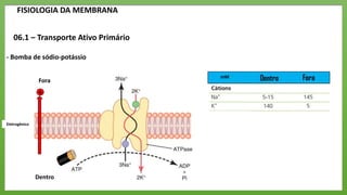 Fisiologia das membranas - ok.pptx
