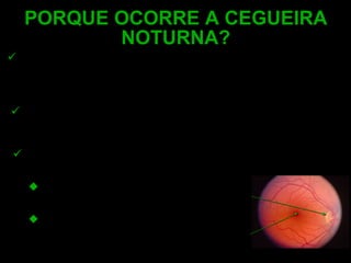 PORQUE OCORRE A CEGUEIRA NOTURNA? Durante a noite a fóvea não pode ser utilizada, pois não possui bastonetes. Desta maneira esta região dos olhos transforma-se em um  ponto cego fisiológico. Outra região que não é utilizada na visão, é o Disco Ótico por não possuir nem cones nem bastonetes. Concluí-se então que a noite cada olho possui 2 pontos cegos: Um anátomo-histológico por falta de células sensitivas (disco óptico). Outro anátomo-funcional por não funcionamento das células sensitivas da fóvea no ambiente noturno 
