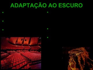 Os olhos demandam um certo período de tempo na adaptação às mudanças de luminosidade. A adaptação é rápida nas mudanças da escuridão para a claridade e lenta no sentido inverso. Cada olho se adapta separadamente. A adaptação depende do metabolismo da rodopsina (substância fotoreagente). Que demora de  5 - 7 min para ser metabolizada nos cones e de 30 - 45 min para para ser metabolizada nos bastonetes. Os cones mesmo quando totalmente adaptados fornecem uma visão noturna insuficiente. Nossos melhores níveis de visão no ambiente noturno são atingidos quando os bastonetes estão adaptados. ADAPTAÇÃO AO ESCURO 