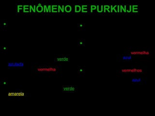 Bastonetes e cones possuem diferentes picos de sensibilidade no espectro luminoso. Bastonetes  tem sua sensibilidade concentrada na faixa do comprimento de onda do  verde - azulada  (~510 nm) e são pouco sensíveis a luz  vermelha . Os cones  concentram sua sensibilidade na faixa da luz  verde - amarela  (~560 nm). Esta diferença de sensibilidade gera o fenômeno de Purkinje. Os  níveis  de sensibilidade  visual  máximos no lusco-fusco   deslocam-se  da  parte  vermelha  do espectro, para a  azul . No escuro, objetos  vermelhos  aparentam ser mais escuros, enquanto objetos de cor  azul  apresentam-se como mais luminosos. FENÔMENO DE PURKINJE 