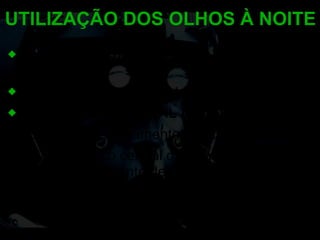 Conhecimento das limitações visuais noturnas. Saber utilizar os bastonetes. CONTROLE RACIONAL DA VISÃO : -Evitar olhar diretamente para o objeto. -Manter o foco central da visão desviado aproximadamente de 5º a 10º do objeto. -Concentrar nossa atenção na visão periférica que é dada pelos bastonetes. UTILIZAÇÃO DOS OLHOS À NOITE 