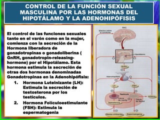 • Durante la niñez el hipotálamo simplemente
no secreta la cantidades de GNRH

• Las hormonas esteroideas ejerce un podero...