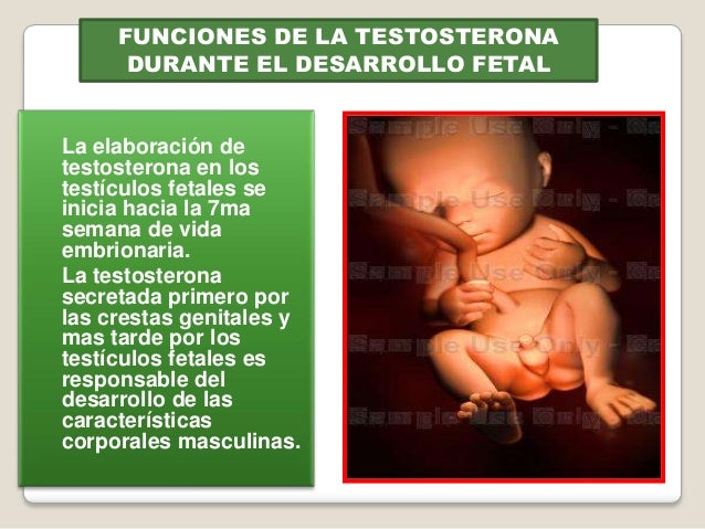 La relación de las muchachas a los pequeños miembros
