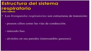 fisiologia de aparato respiratorio.pdf