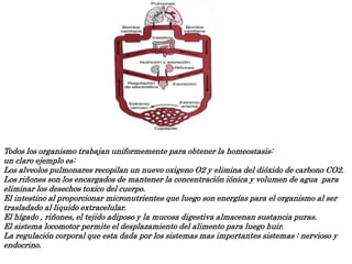 Todos los organismo trabajan uniformemente para obtener la homeostasis:
un claro ejemplo es:
Los alveolos pulmonares recopilan un nuevo oxigeno O2 y elimina del dióxido de carbono CO2.
Los riñones son los encargados de mantener la concentración iónica y volumen de agua para
eliminar los desechos toxico del cuerpo.
El intestino al proporcionar micronutrientes que luego son energías para el organismo al ser
trasladado al liquido extracelular.
El hígado , riñones, el tejido adiposo y la mucosa digestiva almacenan sustancia puras.
El sistema locomotor permite el desplazamiento del alimento para luego huir.
La regulación corporal que esta dada por los sistemas mas importantes sistemas : nervioso y
endocrino.
 