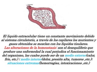 El liquido extracelular tiene un constante movimiento debido
al sistema circulatorio, a través de los capilares los murientes y
gases obtenidos se mezclan con los líquidos tisulares.
Las alteraciones de la homeostasis: son el desequilibrio que
produce una enfermedad la cual perjudica el funcionamiento
del organismo, las cuales puede ser de un medio externo(calor,
frio, etc.) ; medio interno(dolor, presión alta, tumores ,etc.);
situaciones extremas(hemorragias, intoxicaciones ,etc.)
 