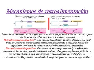 Mecanismos de retroalimentación
Mecanismo necesario en la mayor parte de sistemas ya su función es controlar para
mantener el equilibrio o enviar a un nuevo sistema.
Retroalimentación negativa: Tiene un efecto contrario al estimulo inicial, lo cual
trata de decir que si hay alguna influencia insuficiente o excesiva dentro del
organismo este trata de volver a sus niveles normales al organismo.
Retroalimentación positiva: Es cuando en esta se presenta algún efecto esta
reacciona de forma mas potente o ampliamente en el organismo, lo cual pude tornar
muy grave debido a una insuficiencia o exceso dentro del individuo. La
retroalimentación positiva necesita de la negativa para su correcta regulación.
 
