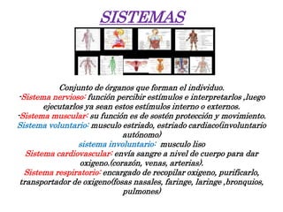 SISTEMAS
Conjunto de órganos que forman el individuo.
-Sistema nervioso: función percibir estímulos e interpretarlos ,luego
ejecutarlos ya sean estos estímulos interno o externos.
-Sistema muscular: su función es de sostén protección y movimiento.
Sistema voluntario: musculo estriado, estriado cardiaco(involuntario
autónomo)
sistema involuntario: musculo liso
Sistema cardiovascular: envía sangre a nivel de cuerpo para dar
oxigeno.(corazón, venas, arterias).
Sistema respiratorio: encargado de recopilar oxigeno, purificarlo,
transportador de oxigeno(fosas nasales, faringe, laringe ,bronquios,
pulmones)
 