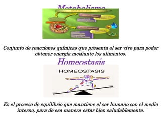 Metabolismo
Conjunto de reacciones químicas que presenta el ser vivo para poder
obtener energía mediante los alimentos.
Homeostasis
Es el proceso de equilibrio que mantiene el ser humano con el medio
interno, para de esa manera estar bien saludablemente.
 