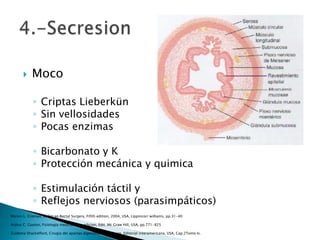  Moco
◦ Criptas Lieberkün
◦ Sin vellosidades
◦ Pocas enzimas
◦ Bicarbonato y K
◦ Protección mecánica y quimica
◦ Estimulación táctil y
◦ Reflejos nerviosos (parasimpáticos)
Marvin L. Croman, Colon an Rectal Surgery, Fifith edition, 2004, USA, Lippincorr williams, pp.31-40
Arthur C. Guyton, Fisiologia medica, 11va edicion, Edit. Mc Graw Hill, USA, pp.771-825
Zuidema Shackelford, Cirugia del apartao digestivo, 4ta eidicion, Editorial interamericana, USA, Cap.2Tomo Iv.
 