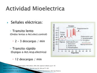  Señales eléctricas:
◦ Transito lento
(Ondas lentas o Act.elect.control)
 2 – 3 descargas / min
◦ Transito rápido
(Espigas o Act.resp.electrica)
 12 descargas / min
Marvin L. Croman, Colon an Rectal Surgery, Fifith edition, 2004, USA, Lippincorr williams, pp.31-40
Arthur C. Guyton, Fisiologia medica, 11va edicion, Edit. Mc Graw Hill, USA, pp.771-825
Zuidema Shackelford, Cirugia del apartao digestivo, 4ta eidicion, Editorial interamericana, USA, Cap.2Tomo Iv.
 